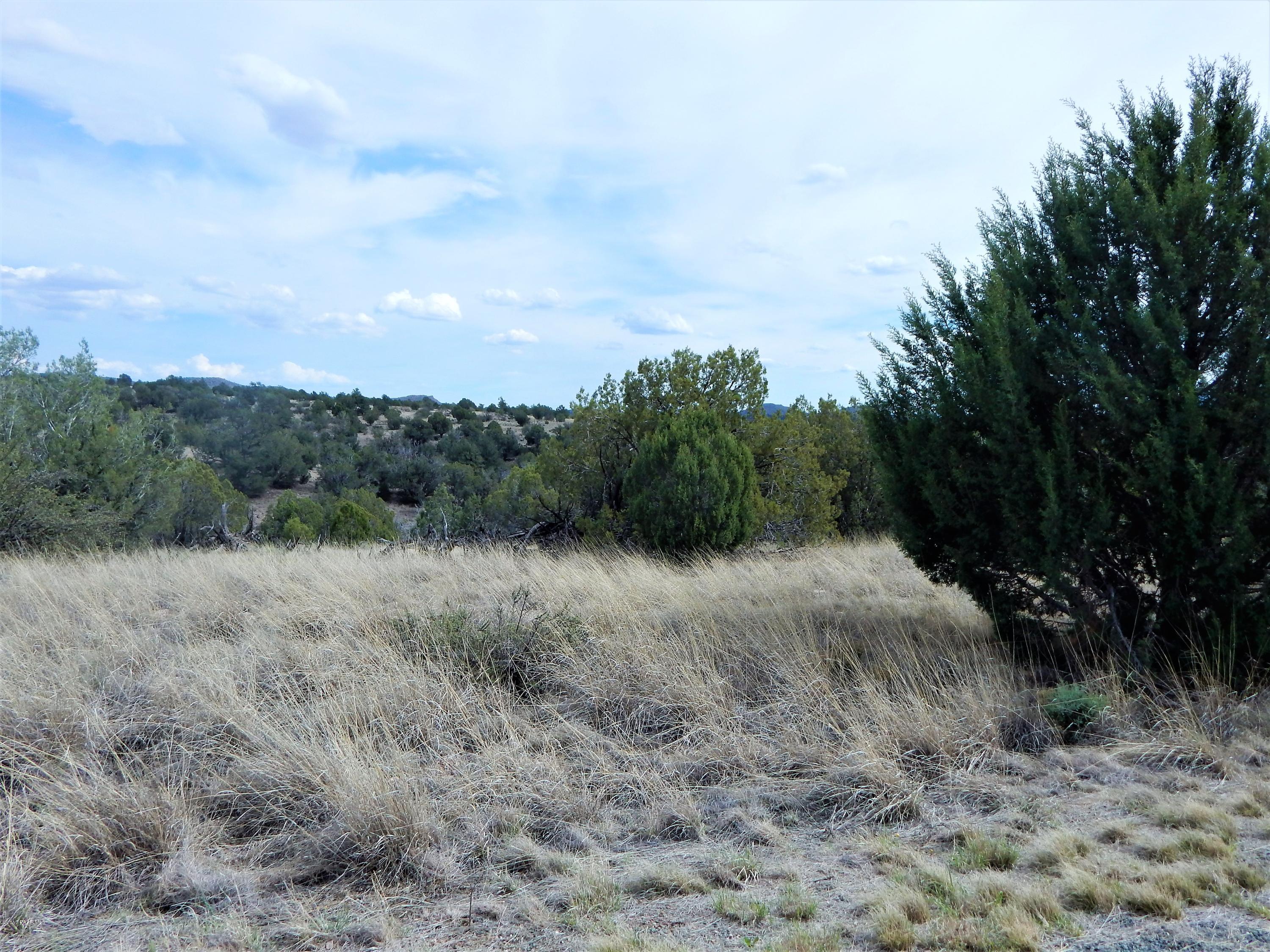 18201 Crossroads Ranch Road Prescott, AZ 86305 - Photo 14 of 14 a view of a dry yard with lots of green space