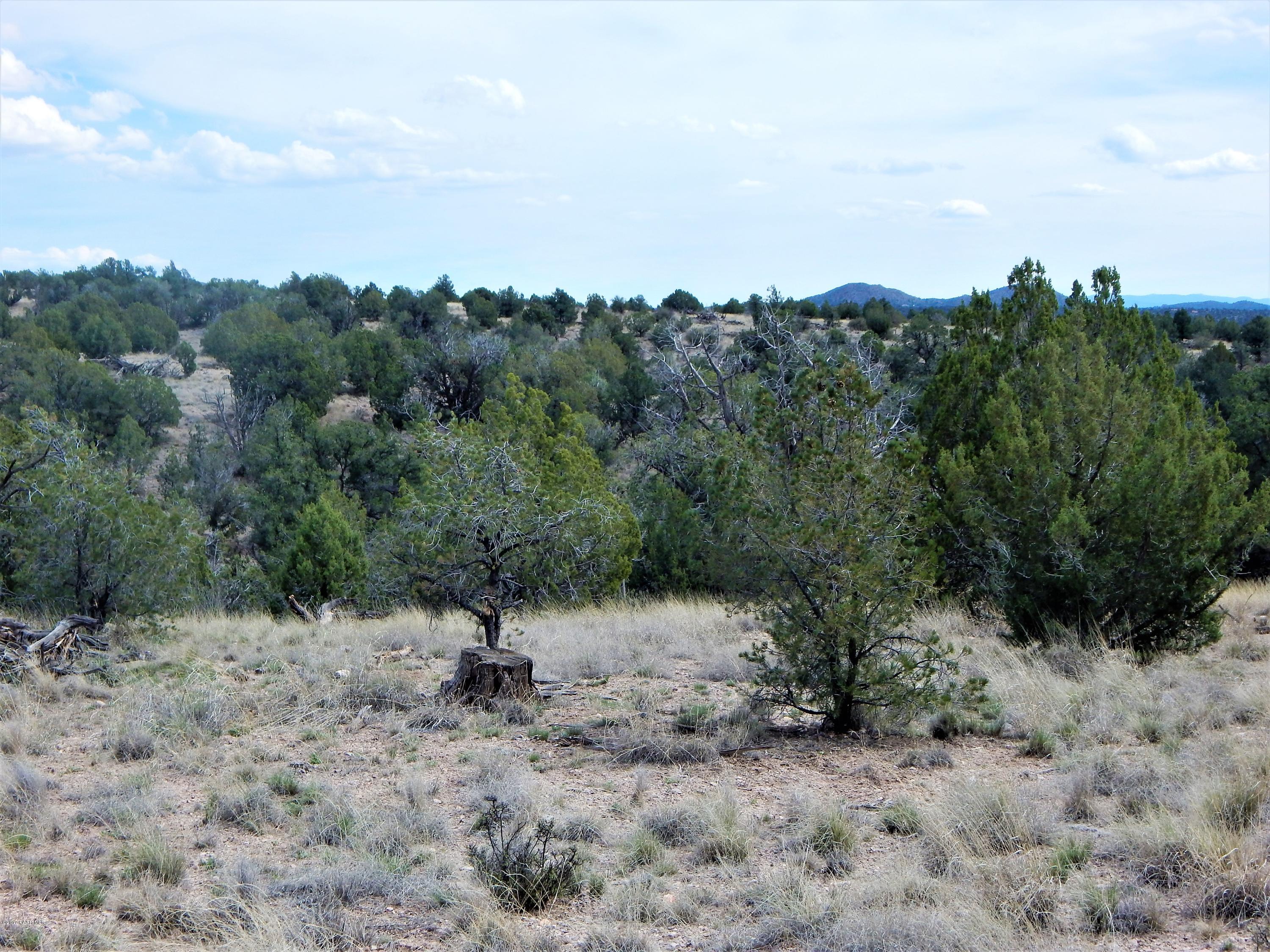 18201 Crossroads Ranch Road Prescott, AZ 86305 - Photo 3 of 14 a view of a forest with trees in the background