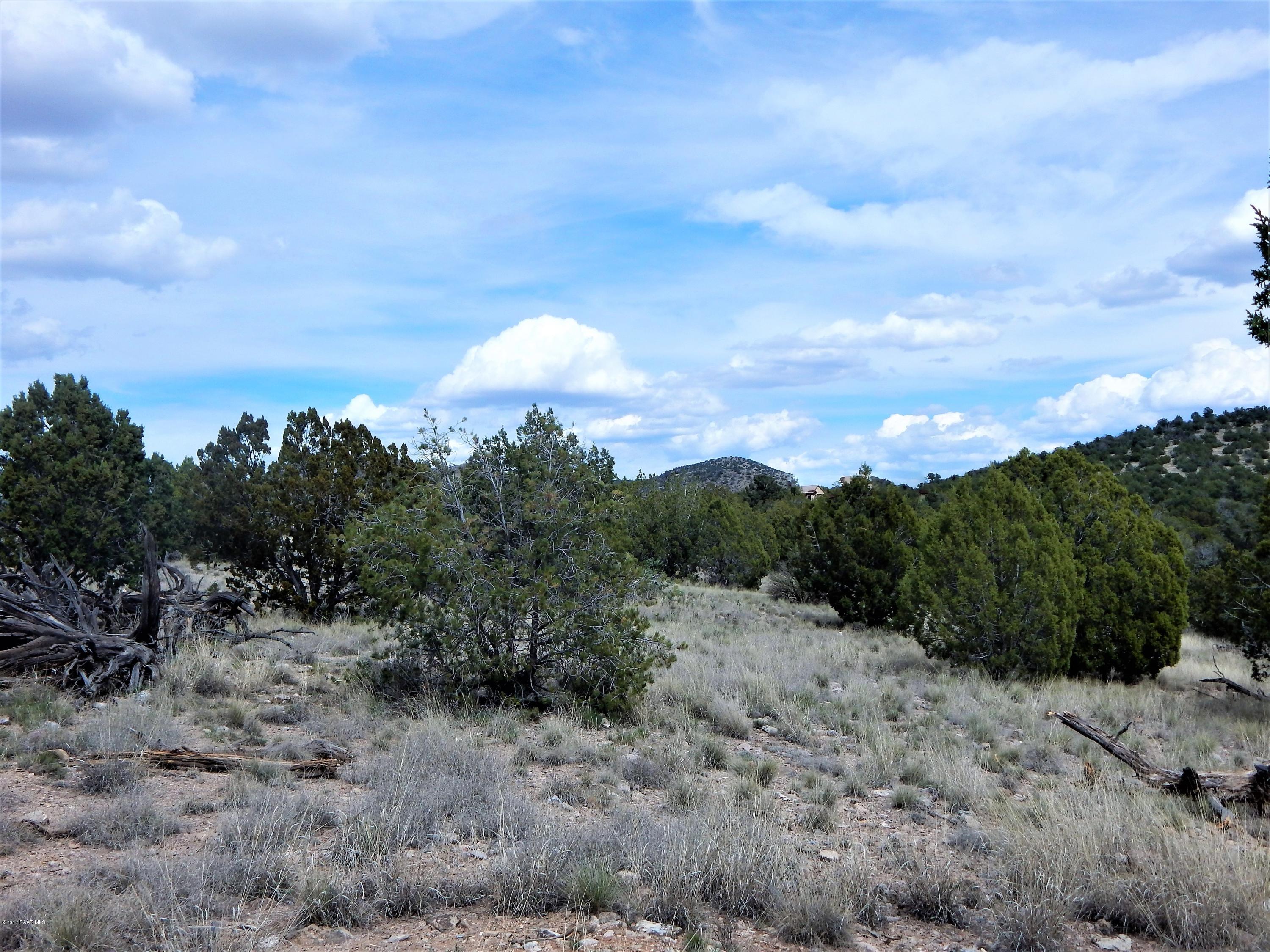 18201 Crossroads Ranch Road Prescott, AZ 86305 - Photo 6 of 14 a view of a dry field