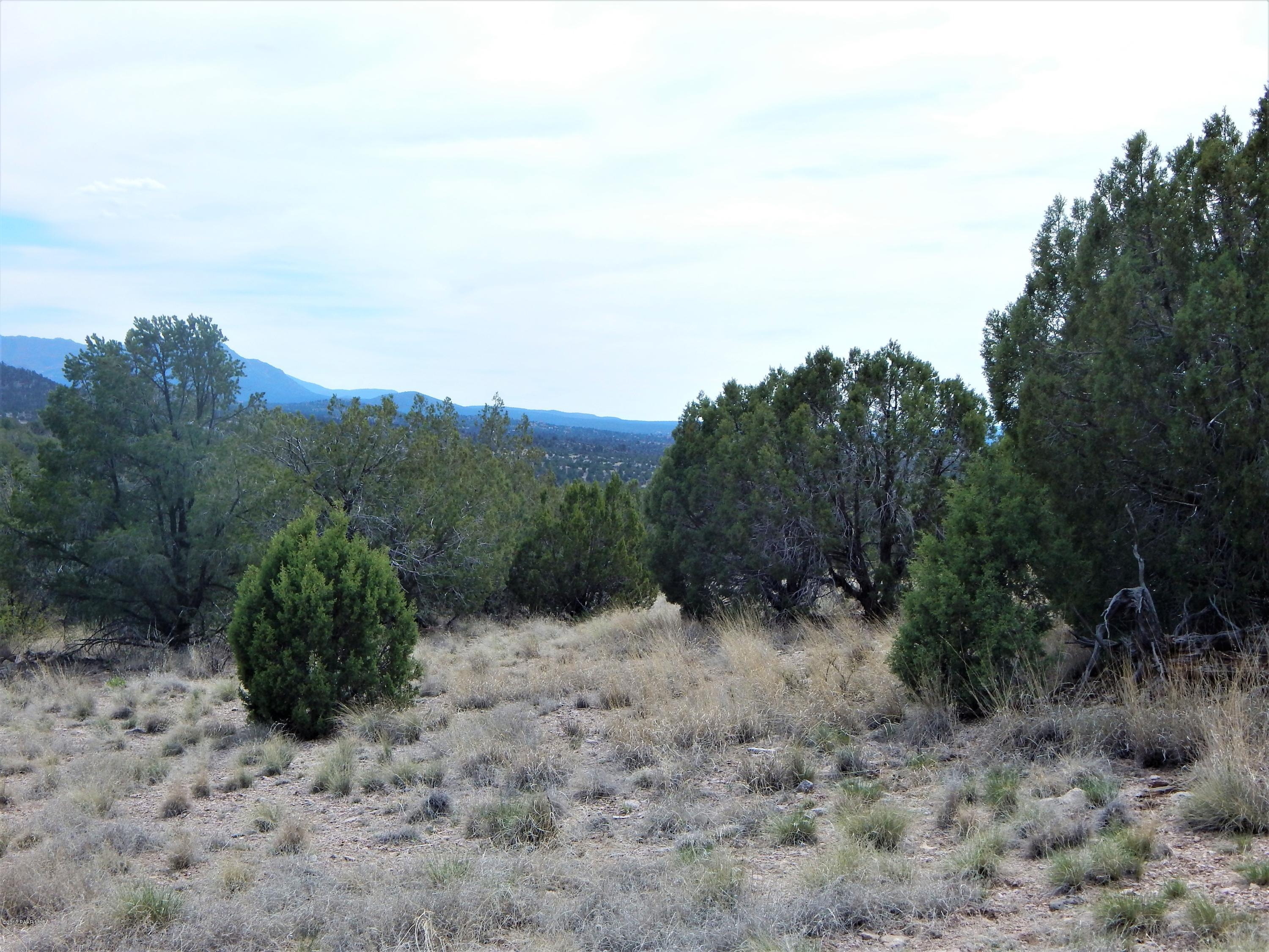 18201 Crossroads Ranch Road Prescott, AZ 86305 - Photo 7 of 14 a view of a dry yard with trees