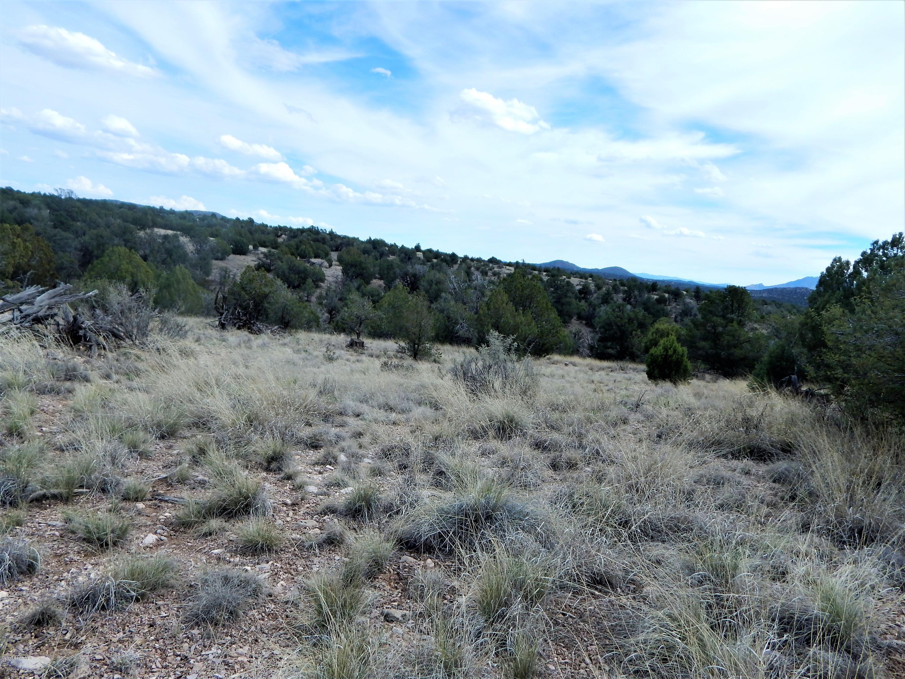 18201 Crossroads Ranch Road Prescott, AZ 86305 - Photo 8 of 14 a view of a dry yard