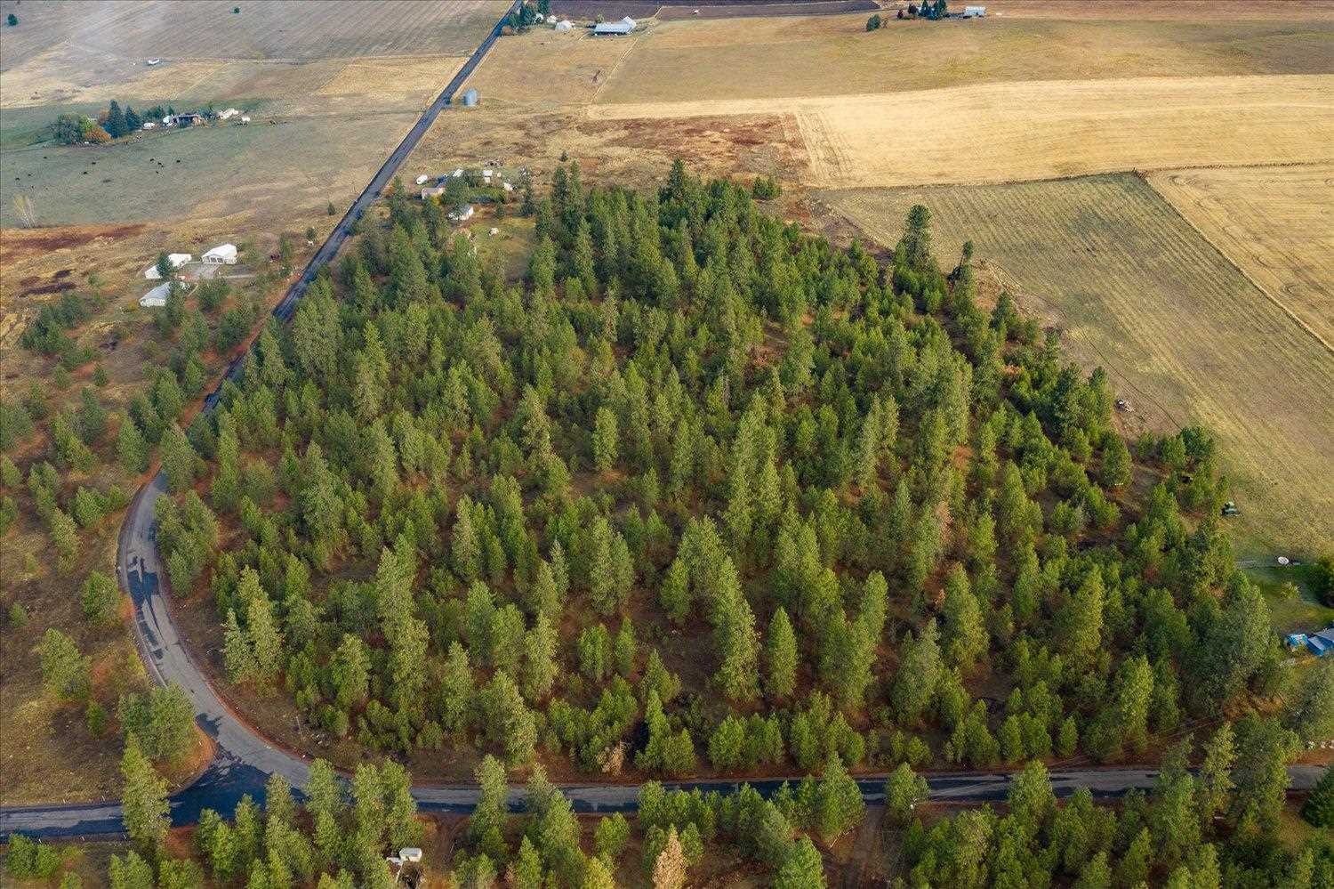 0 West Tucker Prairie Road Cheney, WA 99004 - Photo 14 of 22