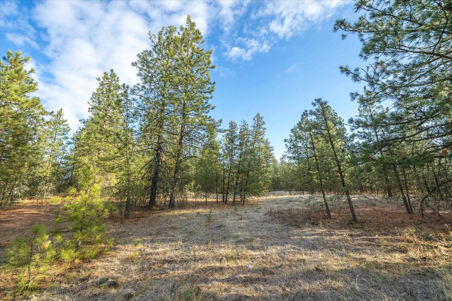 0 West Tucker Prairie Road Cheney, WA 99004 - Photo 3 of 22