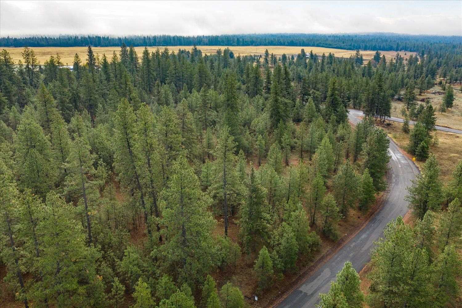 0 West Tucker Prairie Road Cheney, WA 99004 - Photo 8 of 22