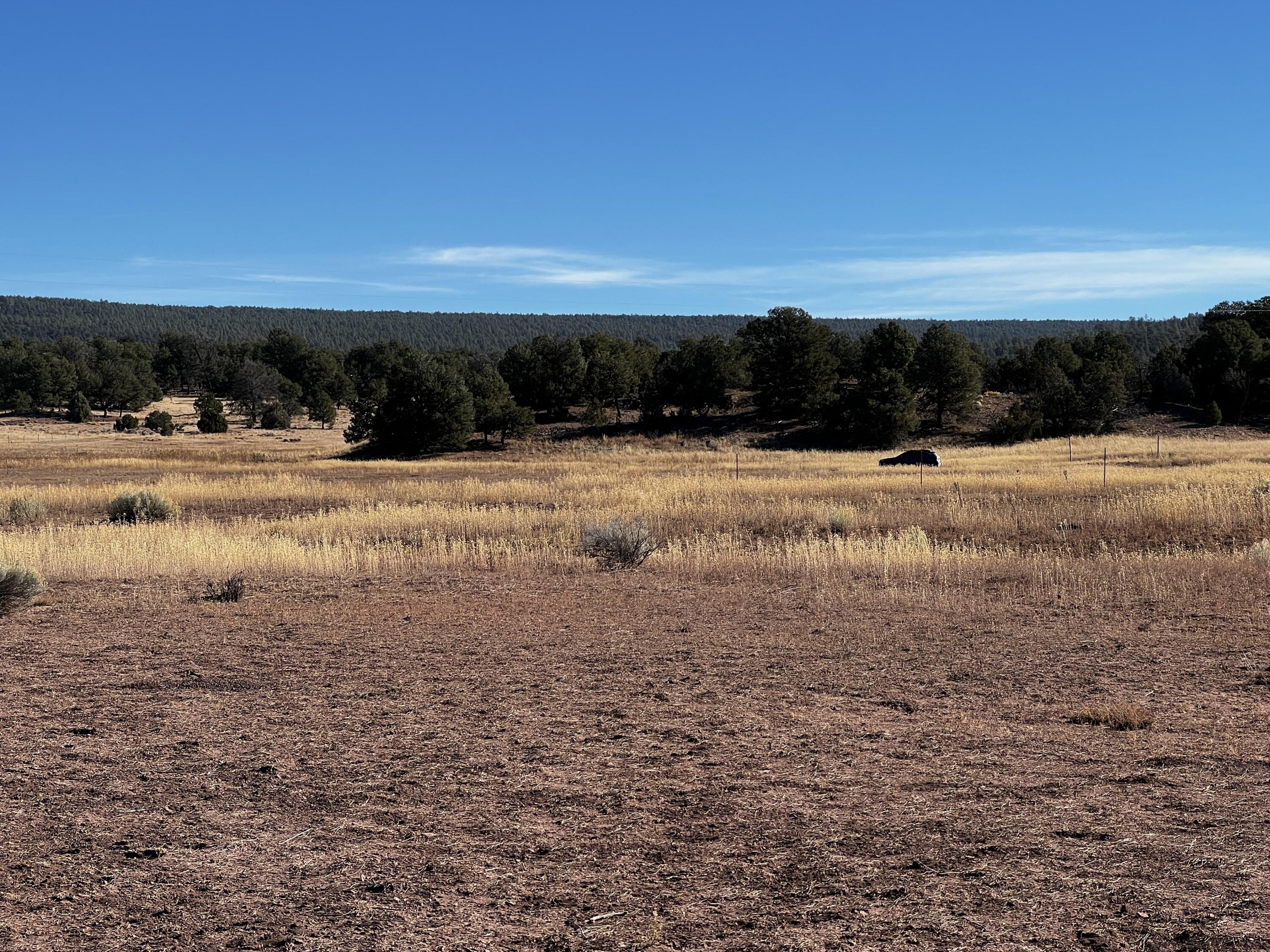Lot 2 Lot Road Ramah, NM 87321 - Photo 18 of 21 Gallery Image 18