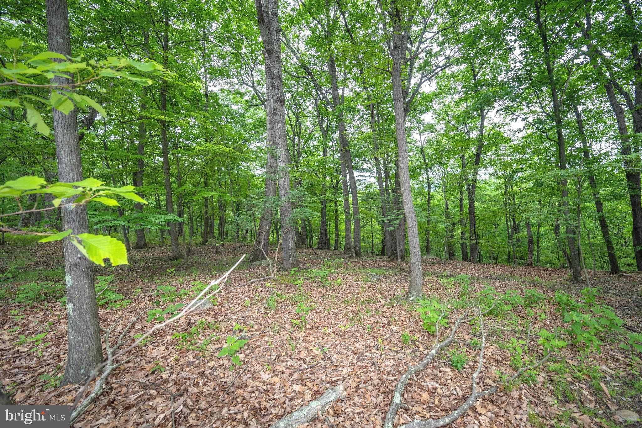 14609 Viewcrest Road Southwest Cumberland, MD 21502 - Photo 47 of 50