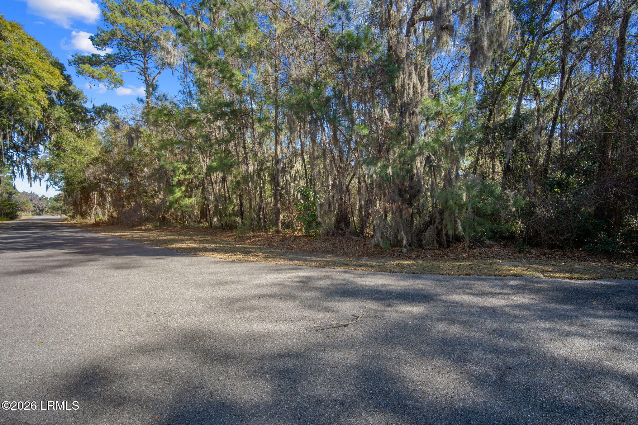 1-web-or-mls-DSC05153