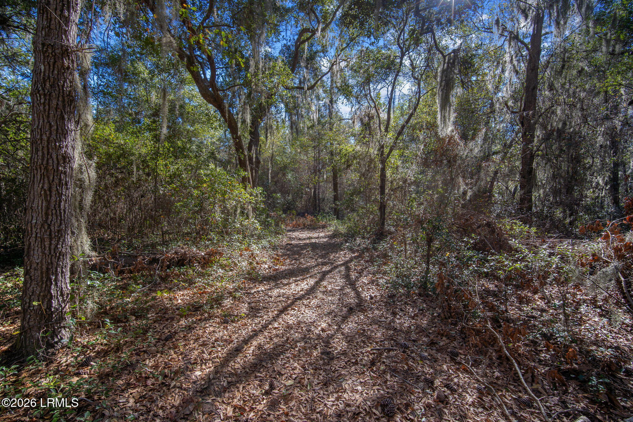51 Bermuda Inlet Drive St. Helena Island, SC 29920 - Photo 3 of 23 3-web-or-mls-DSC05163