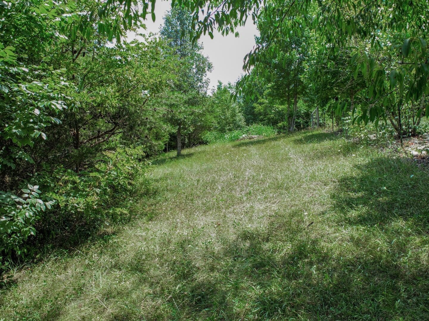 12 Dawning Road Newport, TN 37821 - Photo 18 of 28 Gallery Image 18