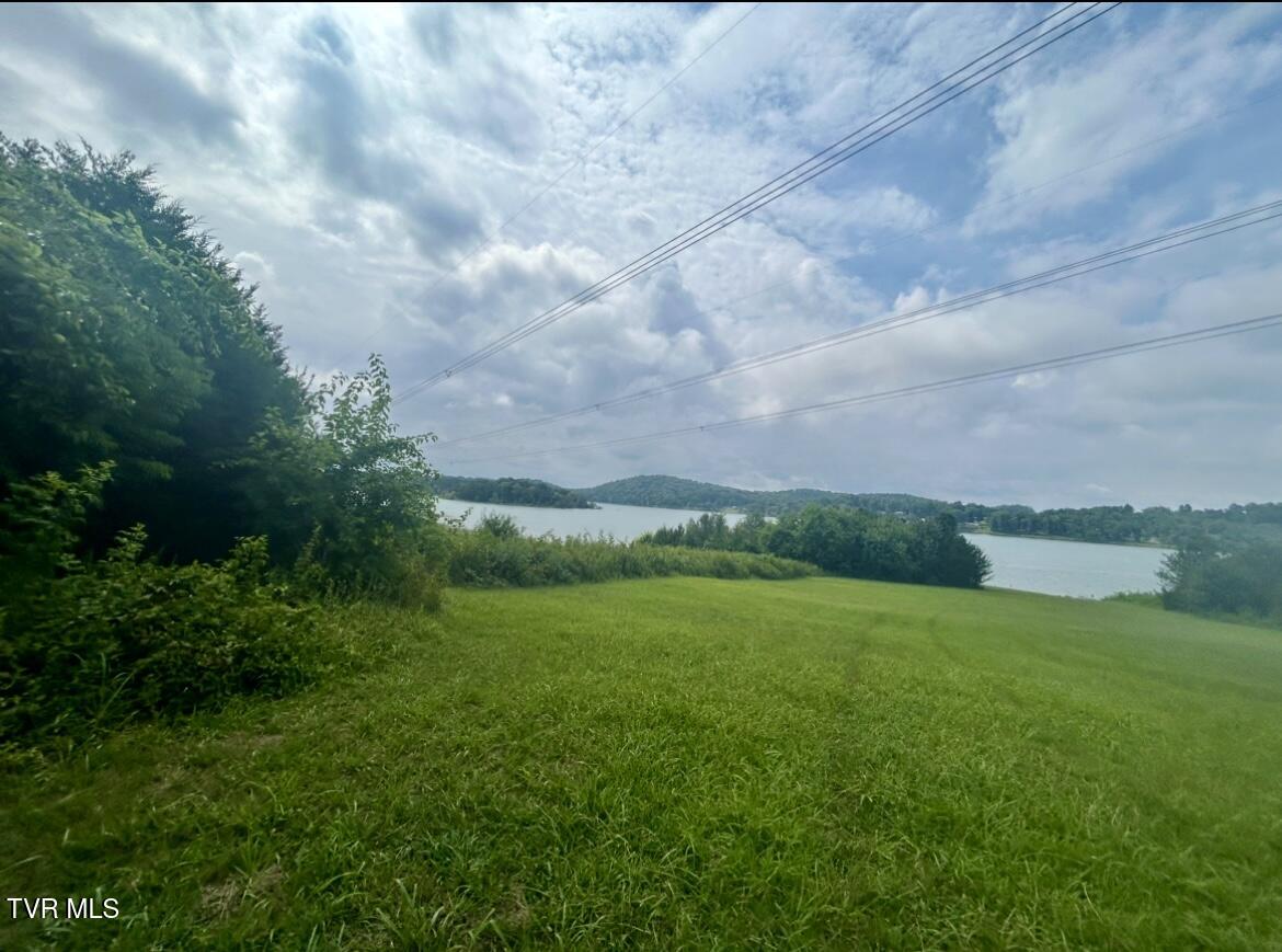 1245 County Line Road, Unit 111 Mooresburg, TN 37811 - Photo 11 of 23 IMG_3795