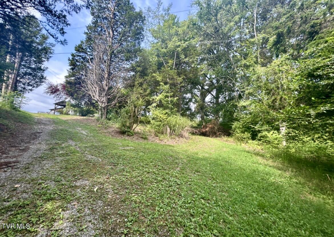 1245 County Line Road, Unit 111 Mooresburg, TN 37811 - Photo 12 of 23 IMG_3798