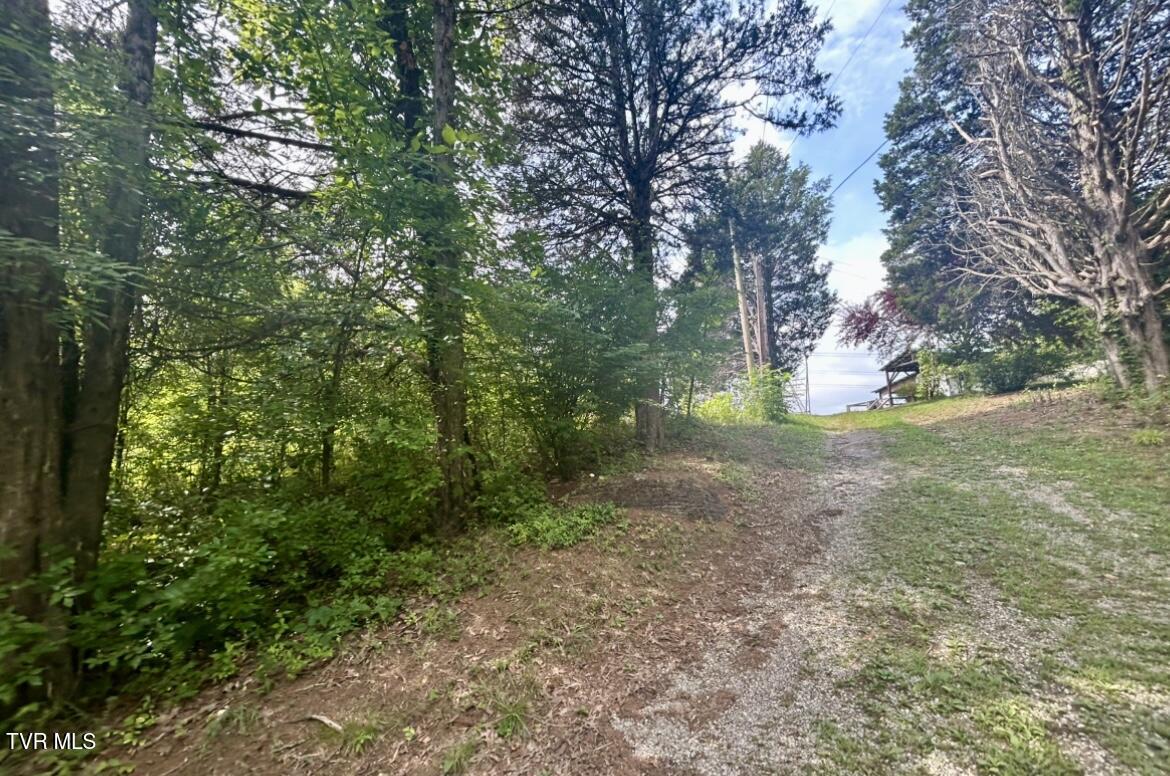 1245 County Line Road, Unit 111 Mooresburg, TN 37811 - Photo 13 of 23 IMG_3797