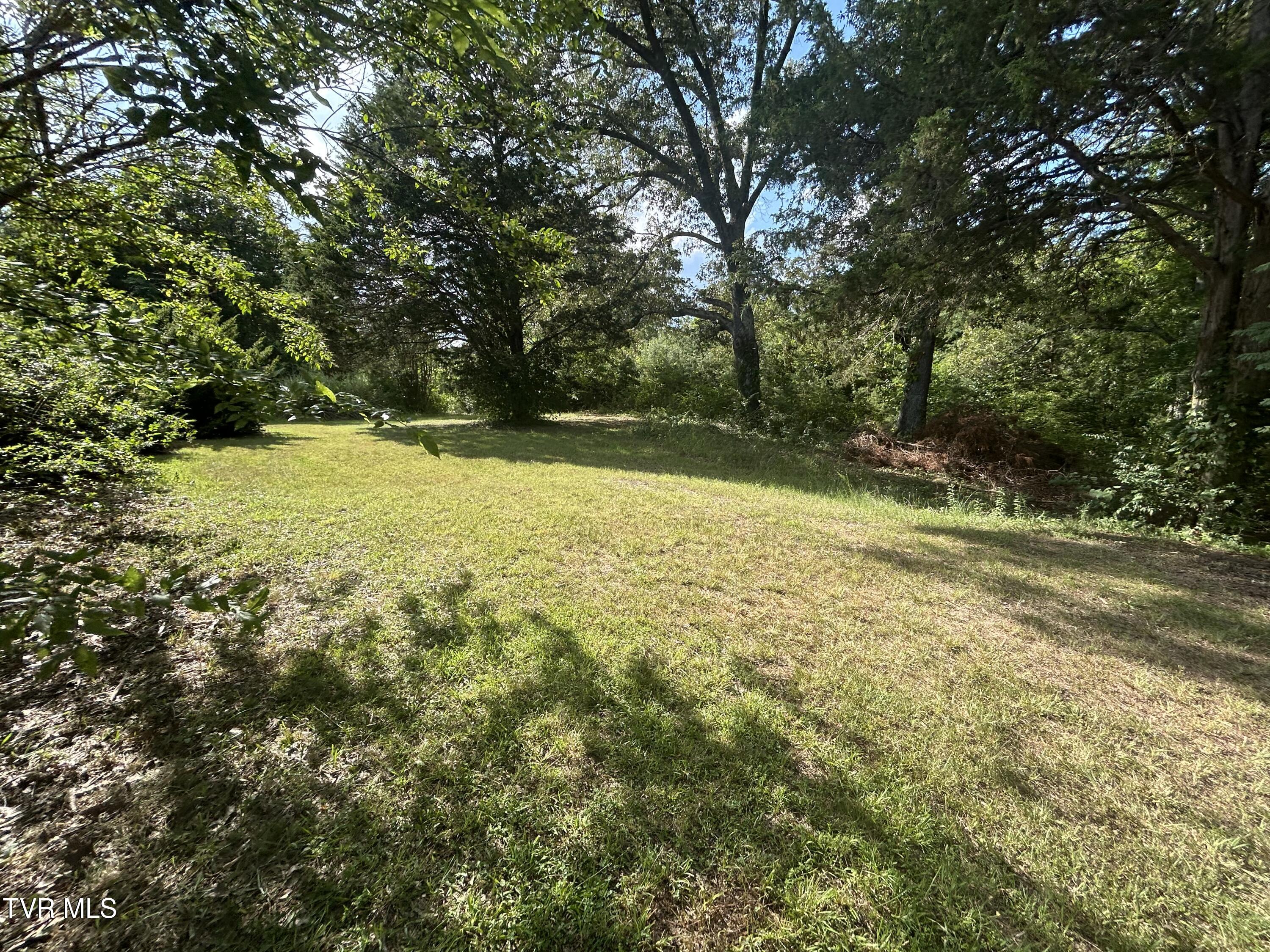 1245 County Line Road, Unit 111 Mooresburg, TN 37811 - Photo 16 of 23 IMG_3831