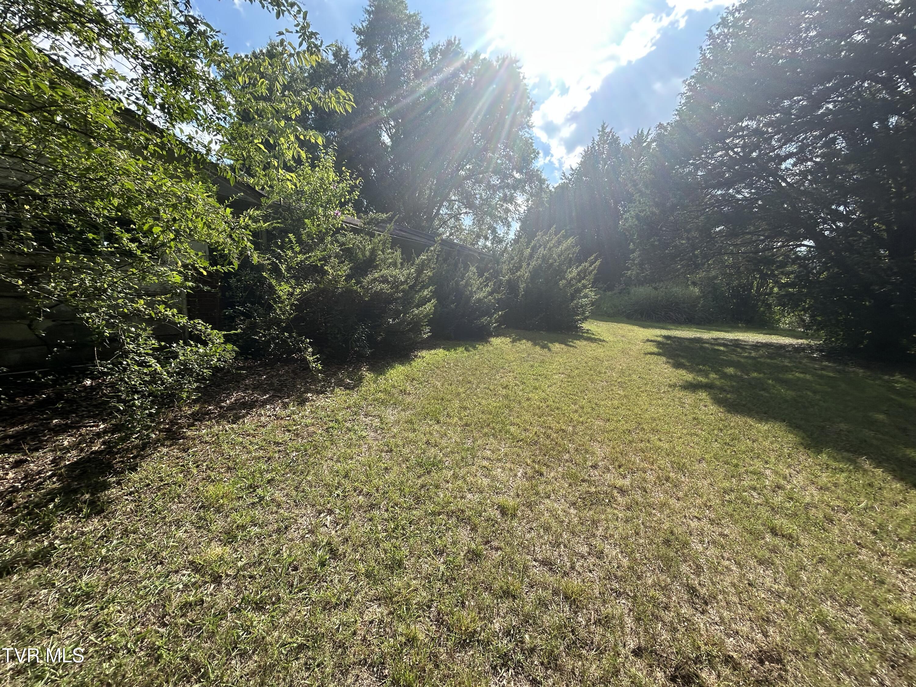 1245 County Line Road, Unit 111 Mooresburg, TN 37811 - Photo 17 of 23 IMG_3834