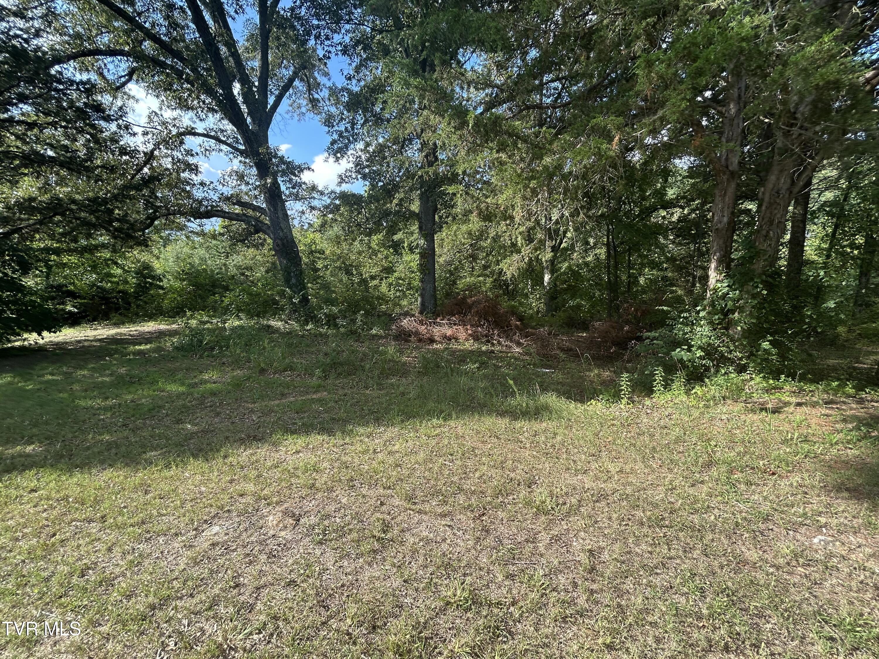 1245 County Line Road, Unit 111 Mooresburg, TN 37811 - Photo 19 of 23 IMG_3835