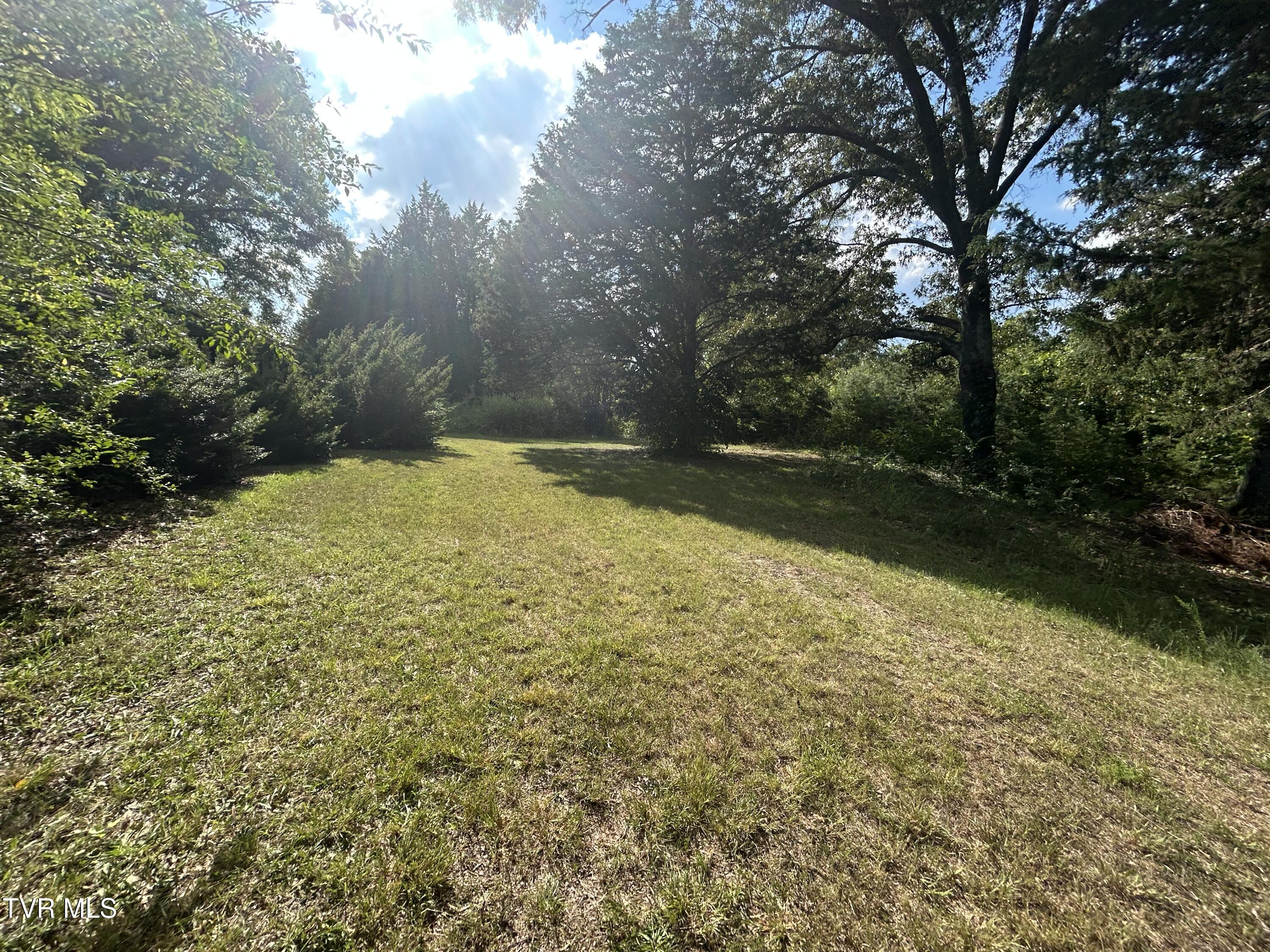 1245 County Line Road, Unit 111 Mooresburg, TN 37811 - Photo 22 of 23 IMG_3832 (1)