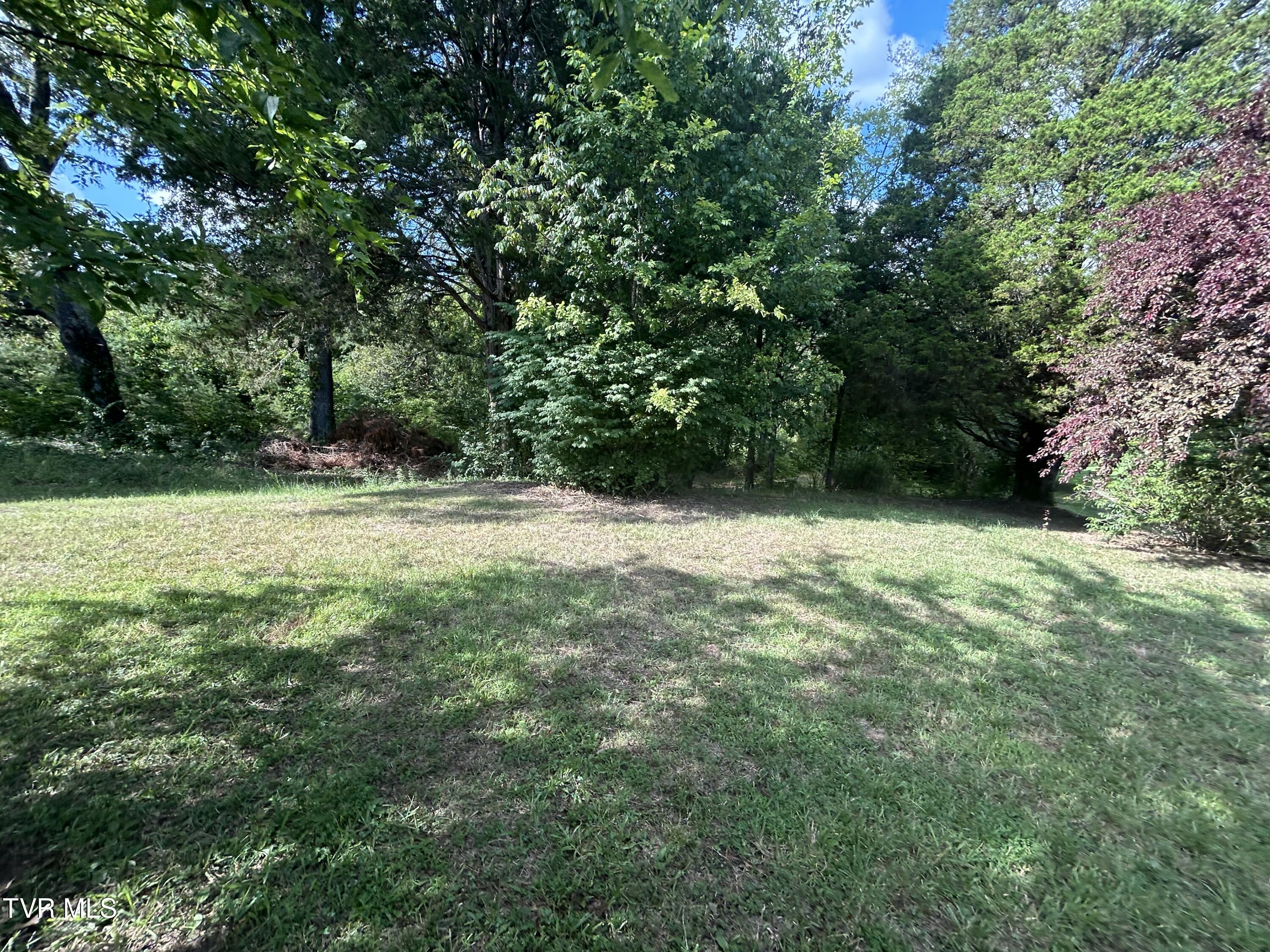 1245 County Line Road, Unit 111 Mooresburg, TN 37811 - Photo 23 of 23 IMG_3830