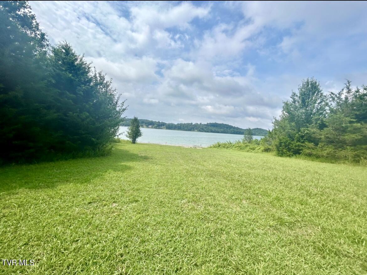 1245 County Line Road, Unit 111 Mooresburg, TN 37811 - Photo 6 of 23 IMG_3788