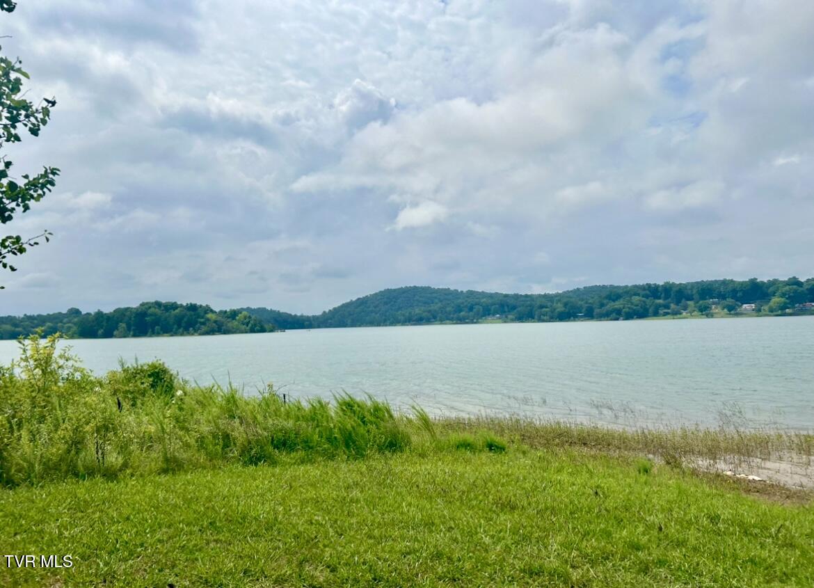 1245 County Line Road, Unit 111 Mooresburg, TN 37811 - Photo 7 of 23 IMG_3790