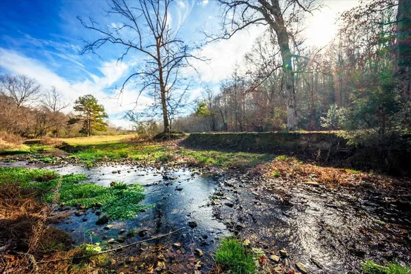 a view of a pathway with a yard