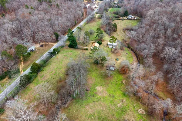 a view of a garden with plants