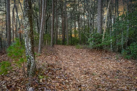 $525,000 | 56 Fairy Cross Lane, Mineral Bluff, GA 30559