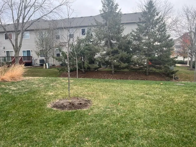 a backyard of a house with lots of green space