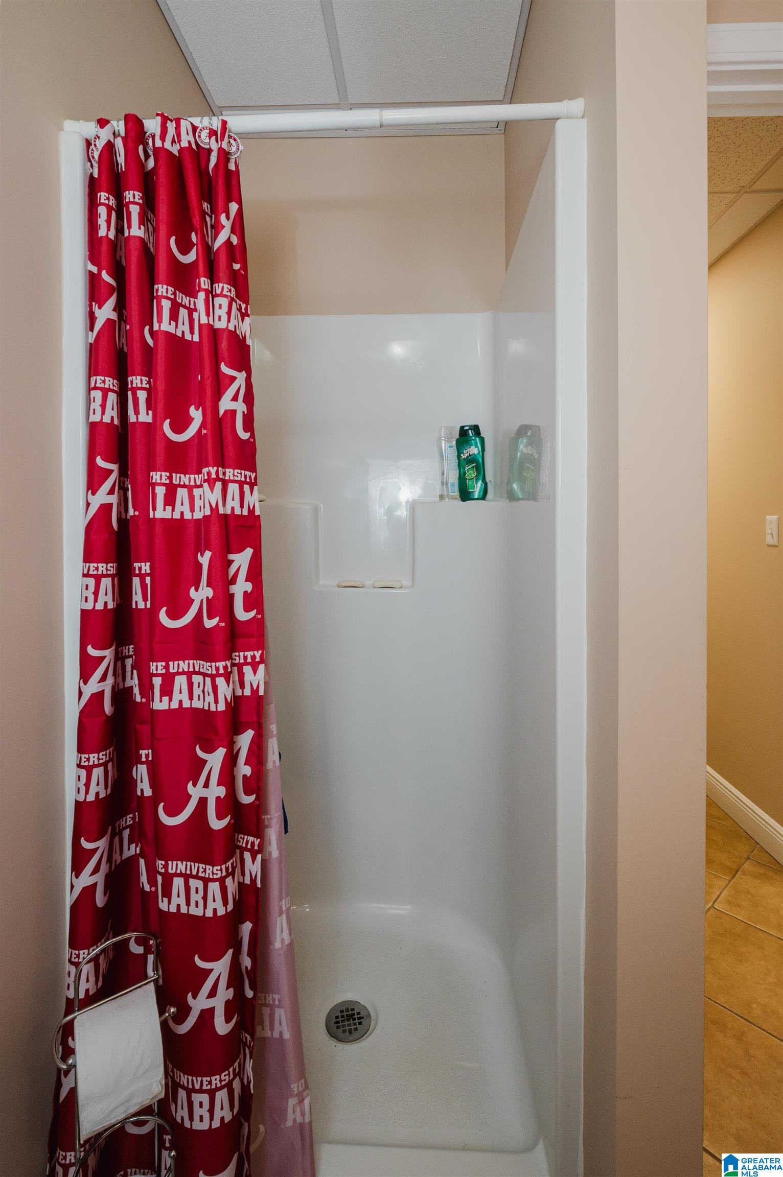 358 Ridge Drive Shelby, AL 35143 - Photo 42 of 94