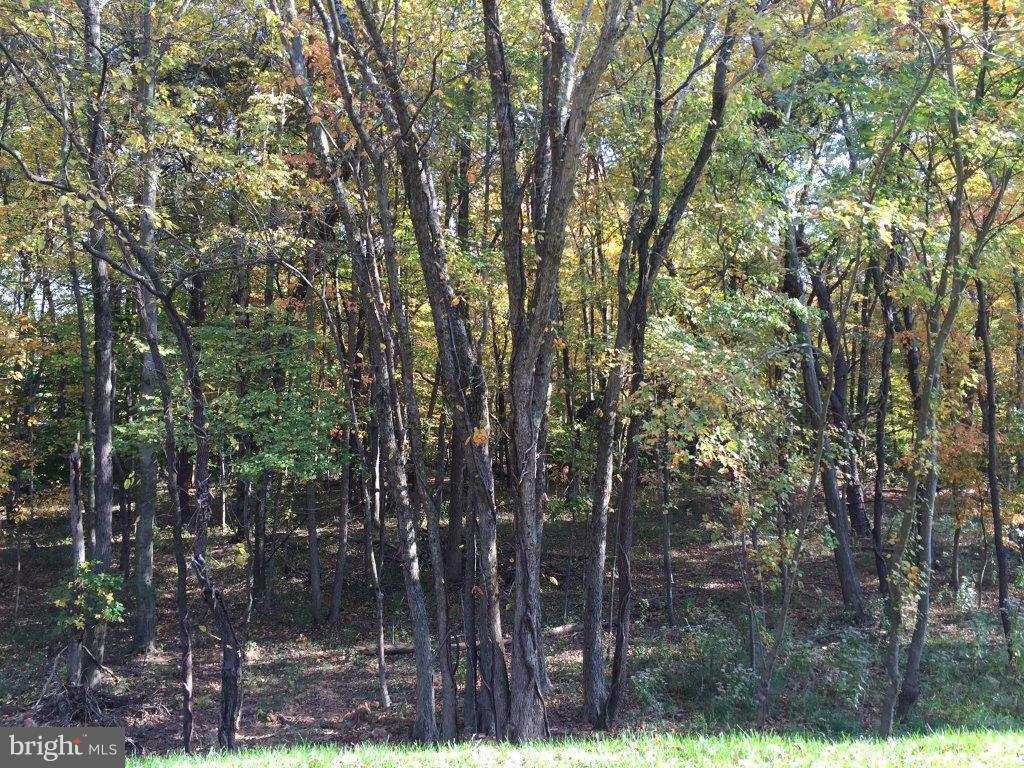 7823 Rappaport Drive Jessup, MD 20794 - Photo 14 of 14 View