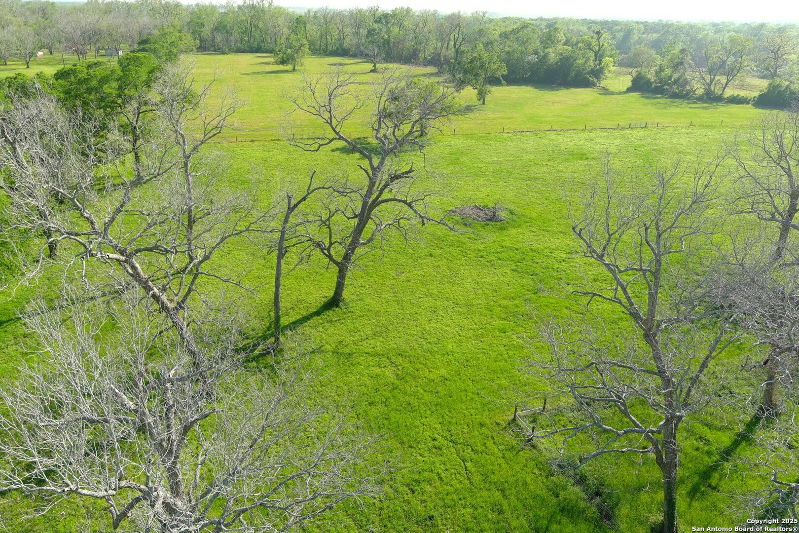3780 County Road 257 Eagle Lake, TX 77434 - Photo 14 of 35 a view of a yard with an outdoor space