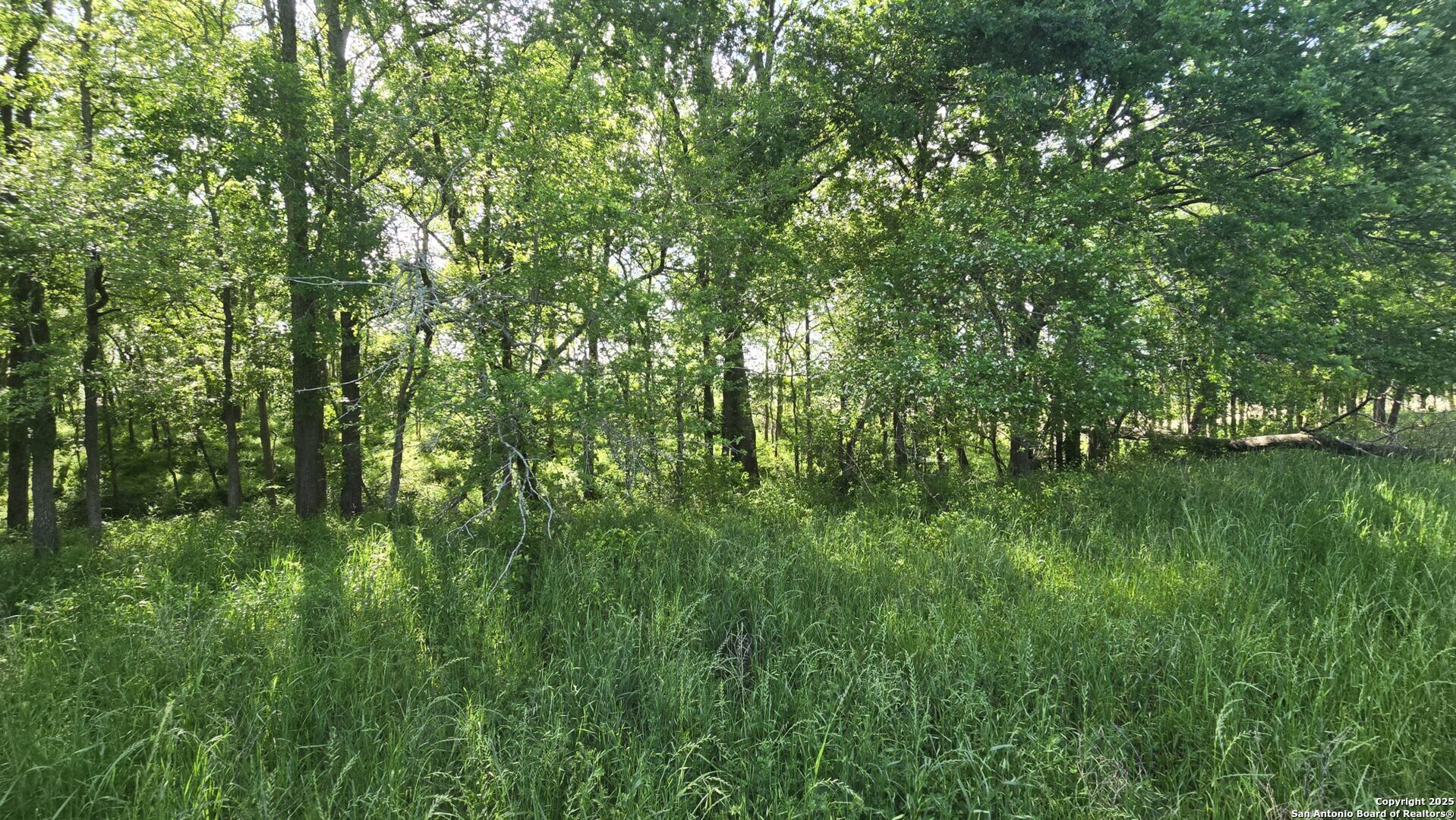 3780 County Road 257 Eagle Lake, TX 77434 - Photo 18 of 35 a view of a lush green space