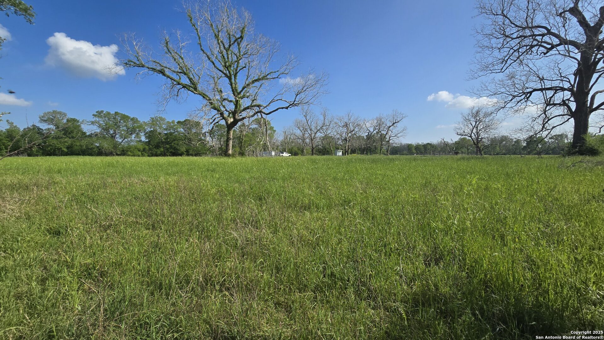 3780 County Road 257 Eagle Lake, TX 77434 - Photo 21 of 35