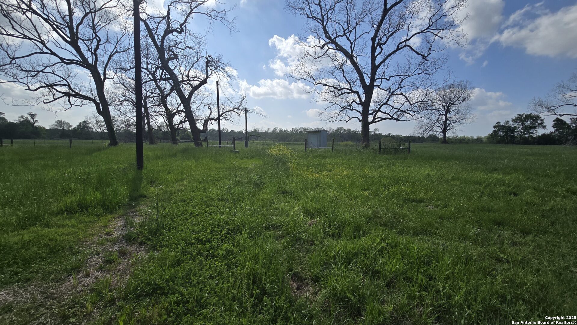 3780 County Road 257 Eagle Lake, TX 77434 - Photo 24 of 35 a view of a field with large trees