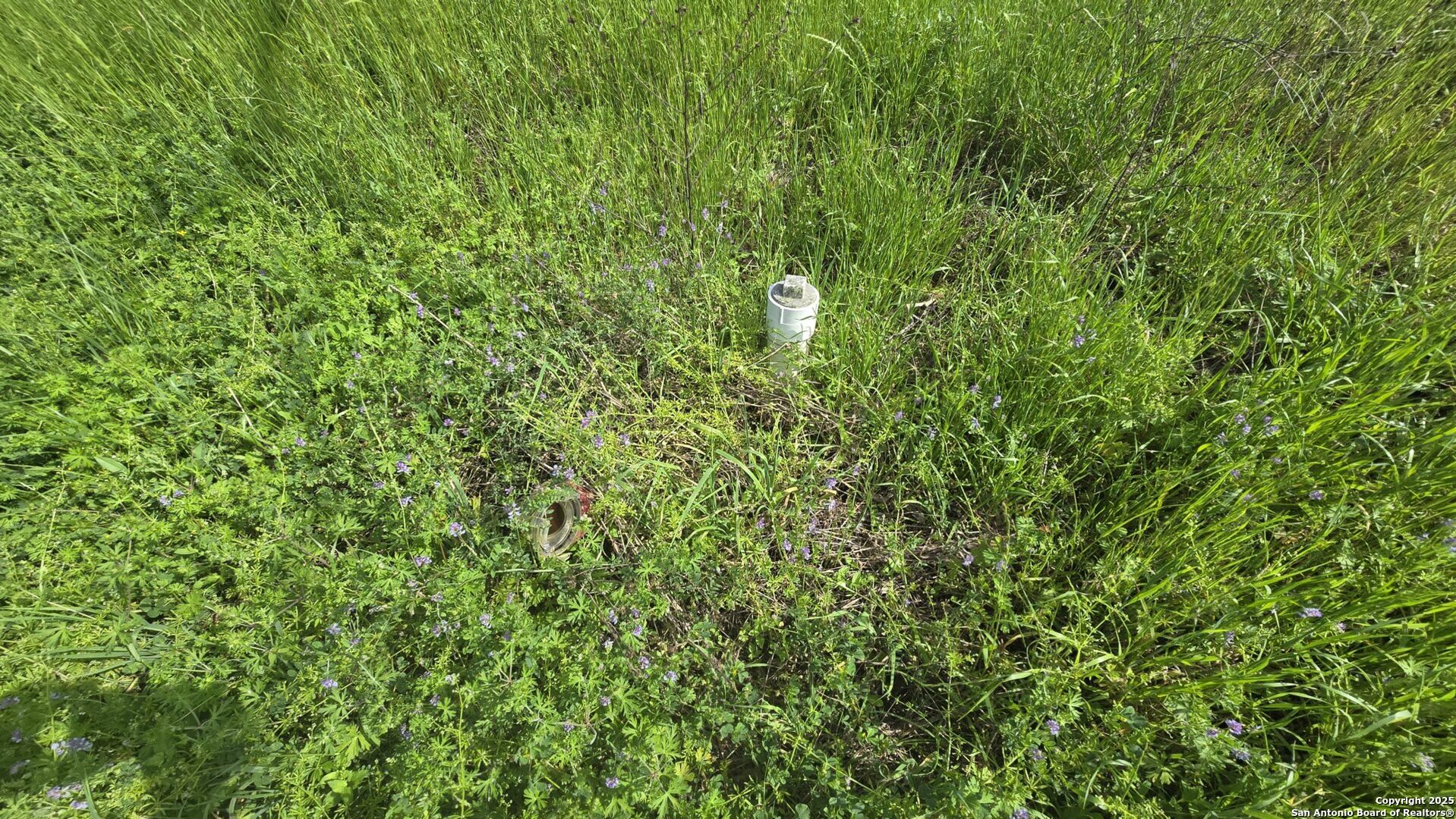 3780 County Road 257 Eagle Lake, TX 77434 - Photo 26 of 35 a view of a lush green space