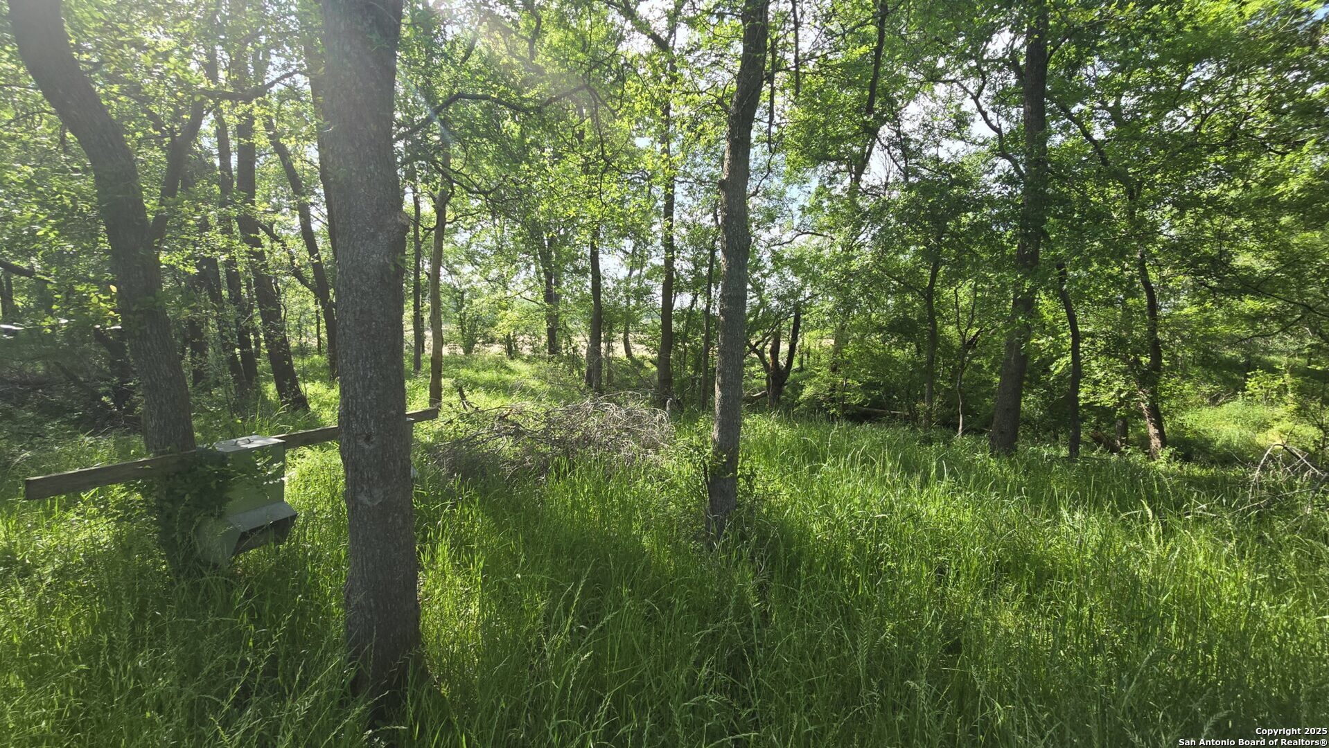 3780 County Road 257 Eagle Lake, TX 77434 - Photo 34 of 35 a view of forest