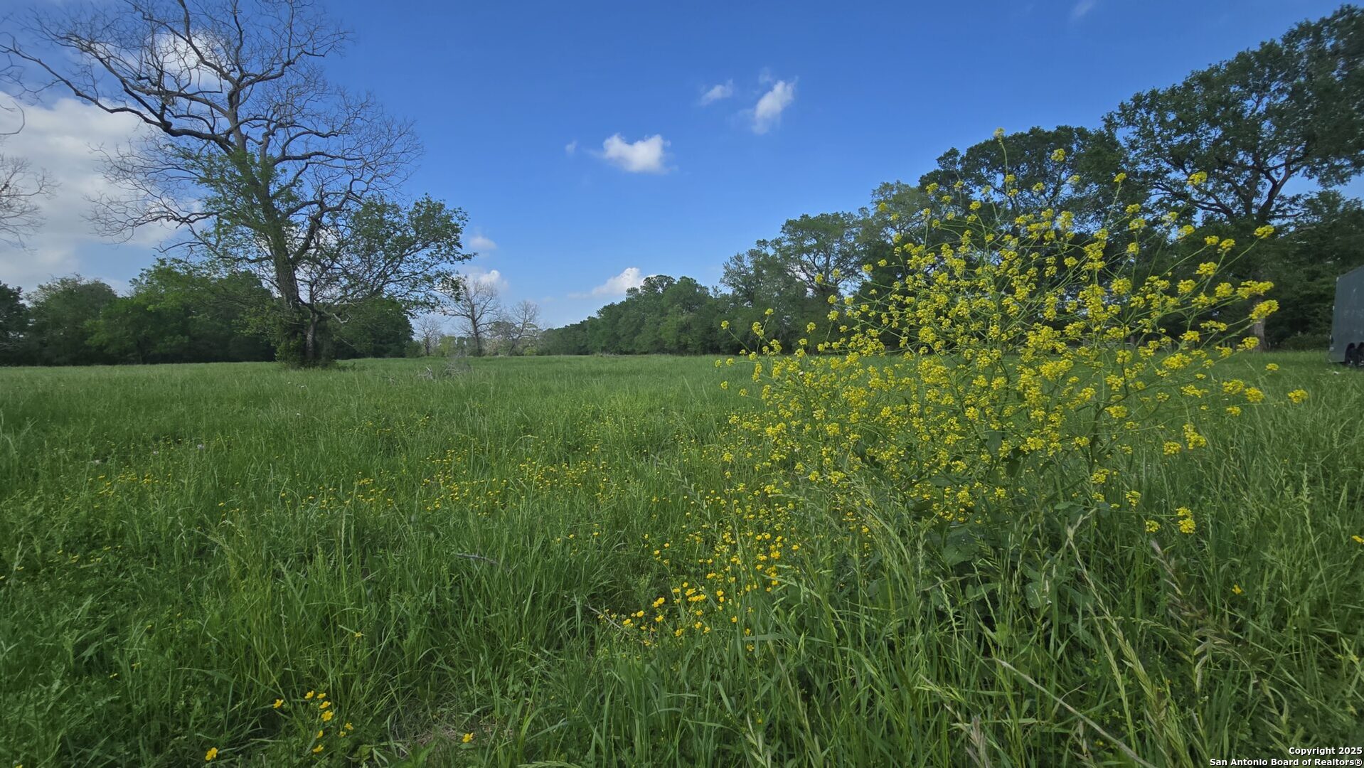 3780 County Road 257 Eagle Lake, TX 77434 - Photo 4 of 35 a view of a lush green space