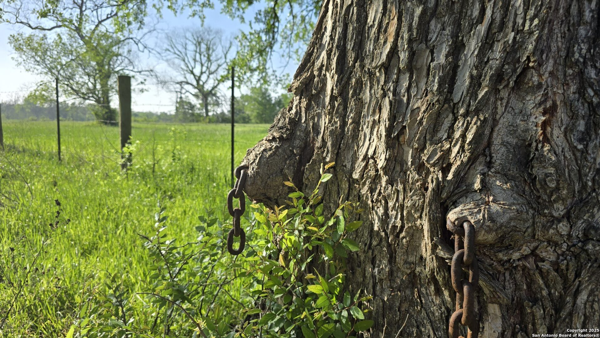 3780 County Road 257 Eagle Lake, TX 77434 - Photo 6 of 35 a view of yard with green space