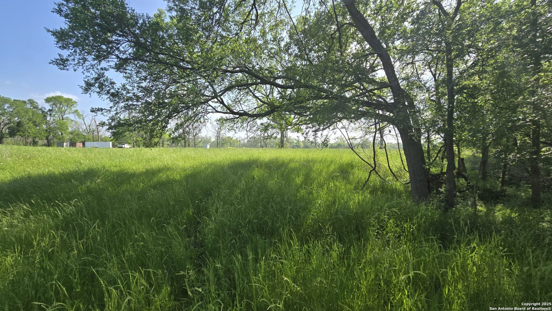 3780 County Road 257 Eagle Lake, TX 77434 - Photo 8 of 35 a view of outdoor space and yard