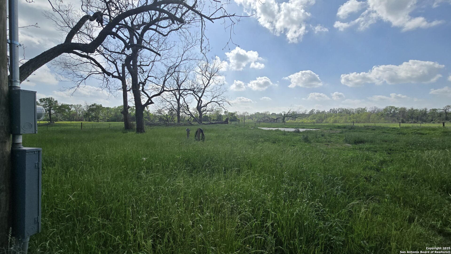 3780 County Road 257 Eagle Lake, TX 77434 - Photo 9 of 35 a view of grassy field with trees around