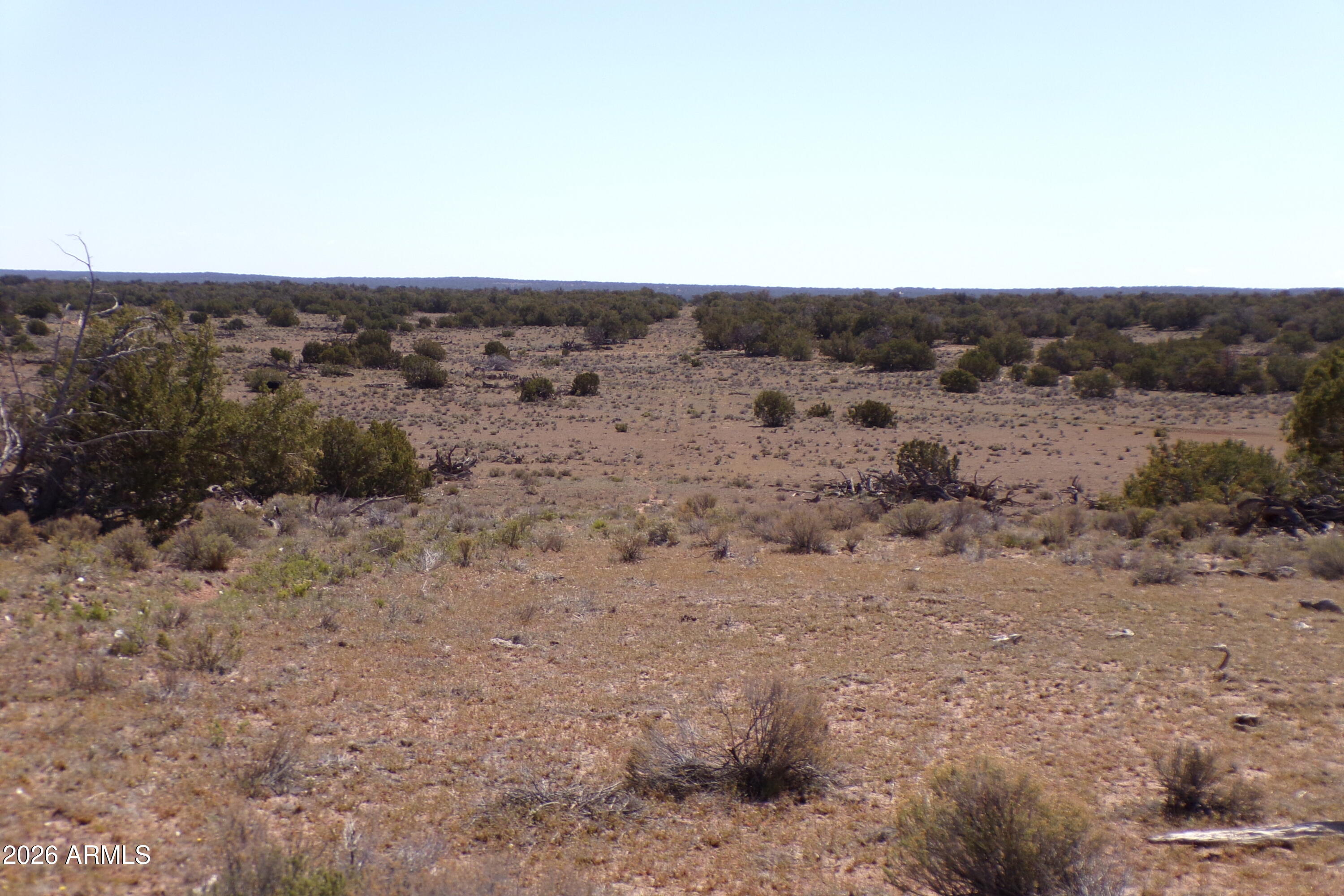 0 Ranch Road Sanders, AZ 86512 - Photo 7 of 42 a view of a dry space with lots of trees