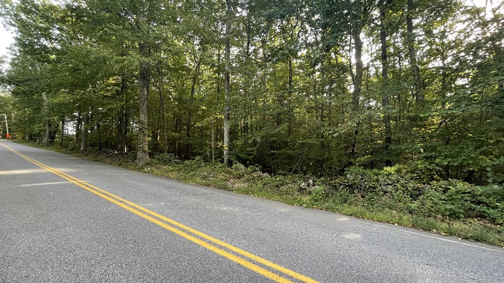Lot 2 Thompson Pond Road Spencer, MA 01562 - Photo 11 of 14 Gallery Image 11