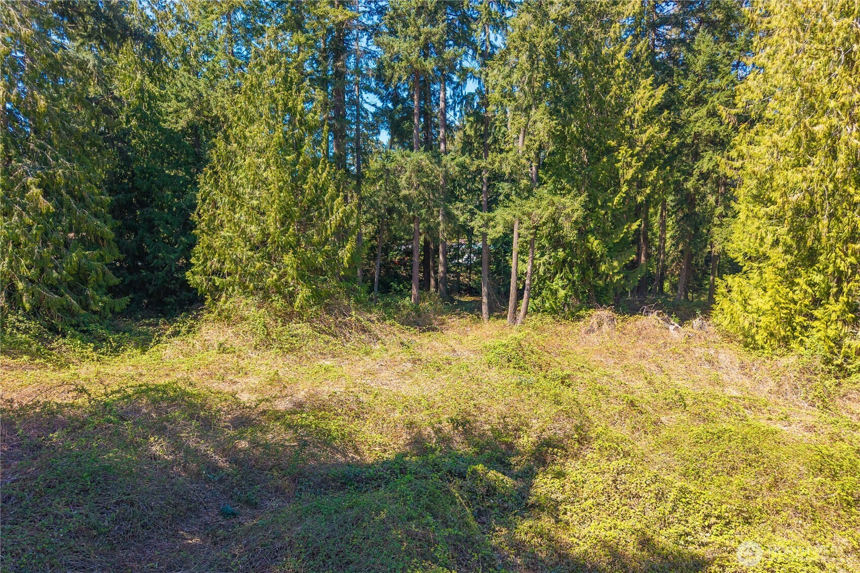 0 Th Tacoma, WA 98443 - Photo 2 of 13