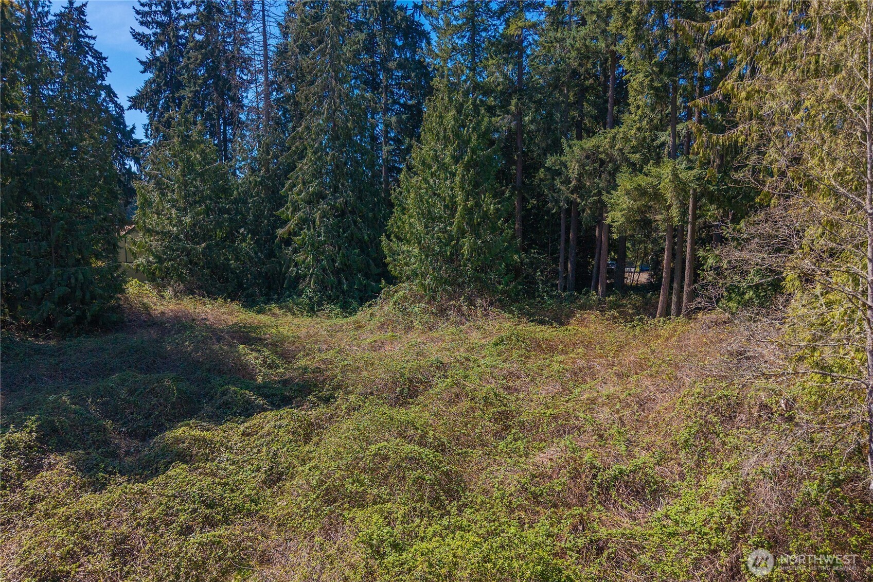 0 Th Tacoma, WA 98443 - Photo 4 of 13