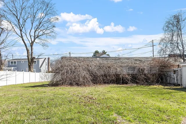 a view of a yard with large trees