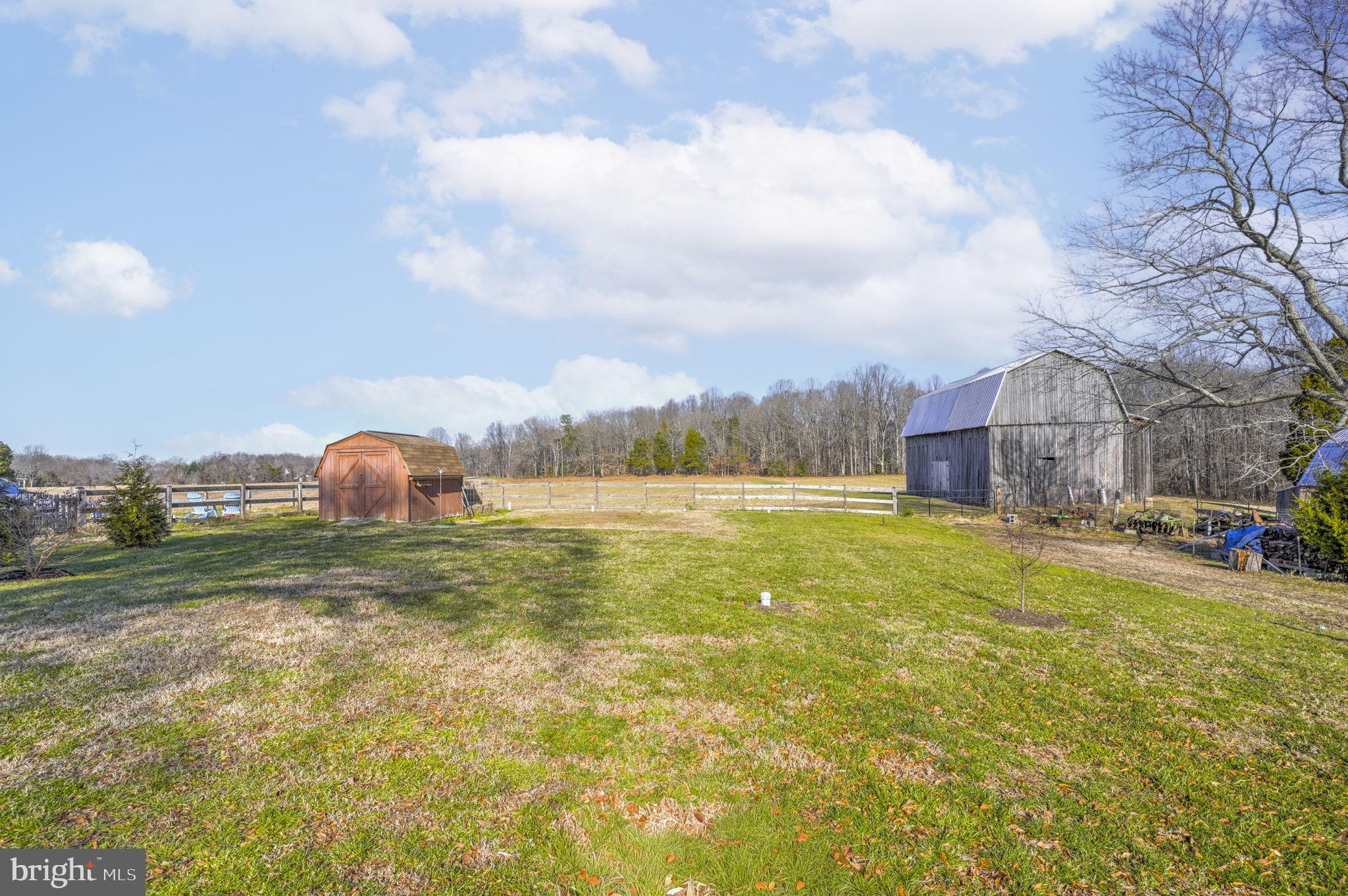 5369 Ed Prout Road Lothian, MD 20711 - Photo 12 of 34 Rear yard