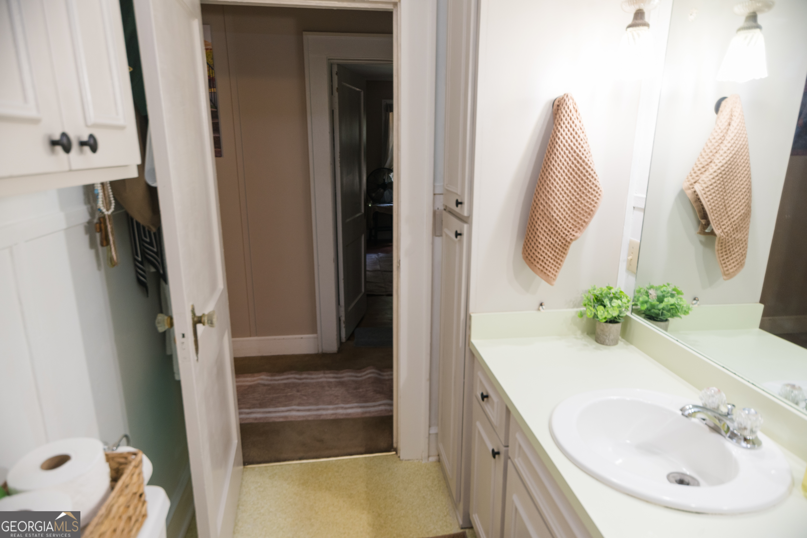 348 Americus Highway Butler, GA 31006 - Photo 30 of 59 a bathroom with a sink and a mirror
