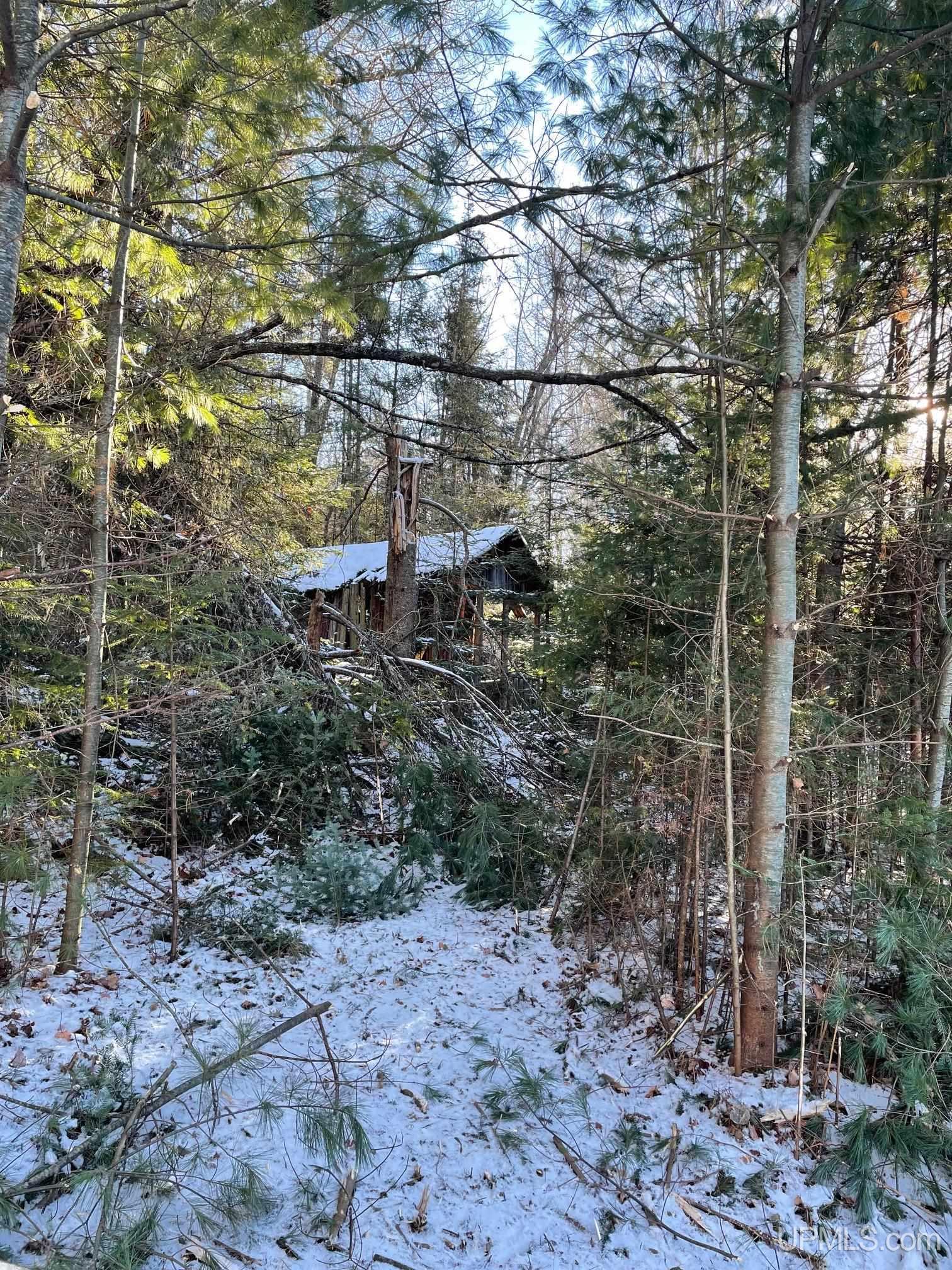 527 Usfs Road Iron River, MI 49935 - Photo 29 of 37