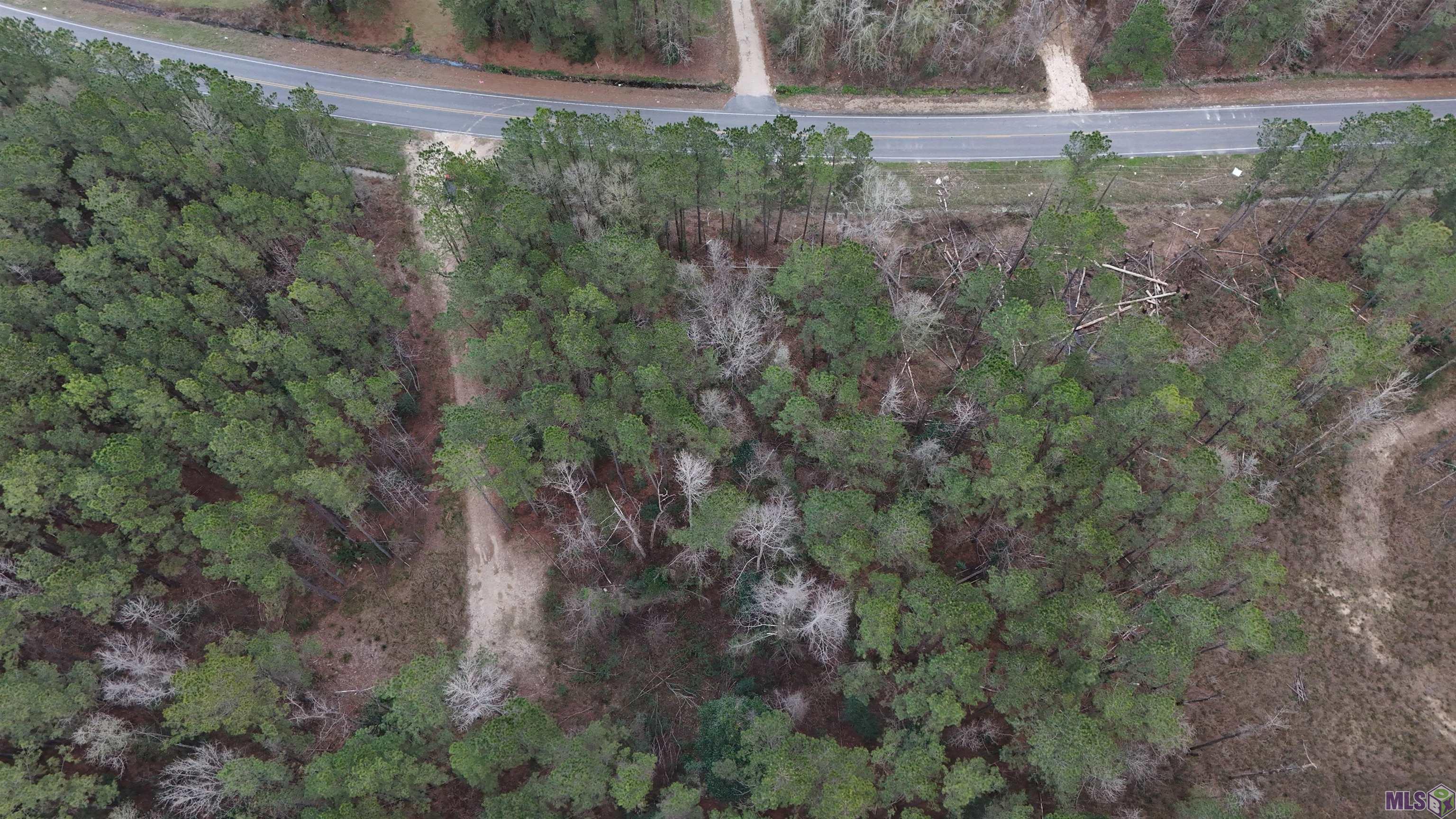 14373 Springfield Road Walker, LA 70785 - Photo 1 of 14