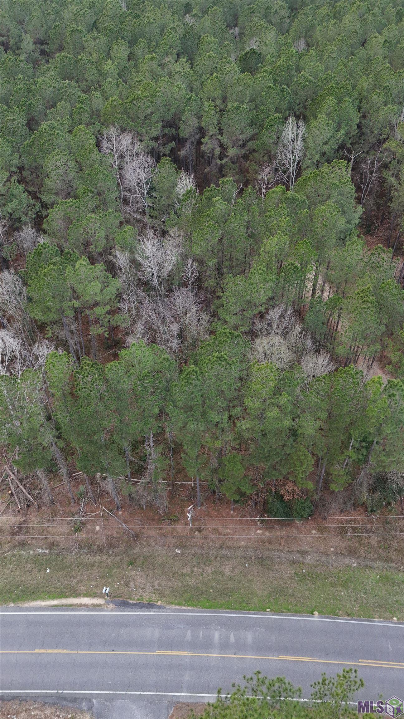 14373 Springfield Road Walker, LA 70785 - Photo 11 of 14