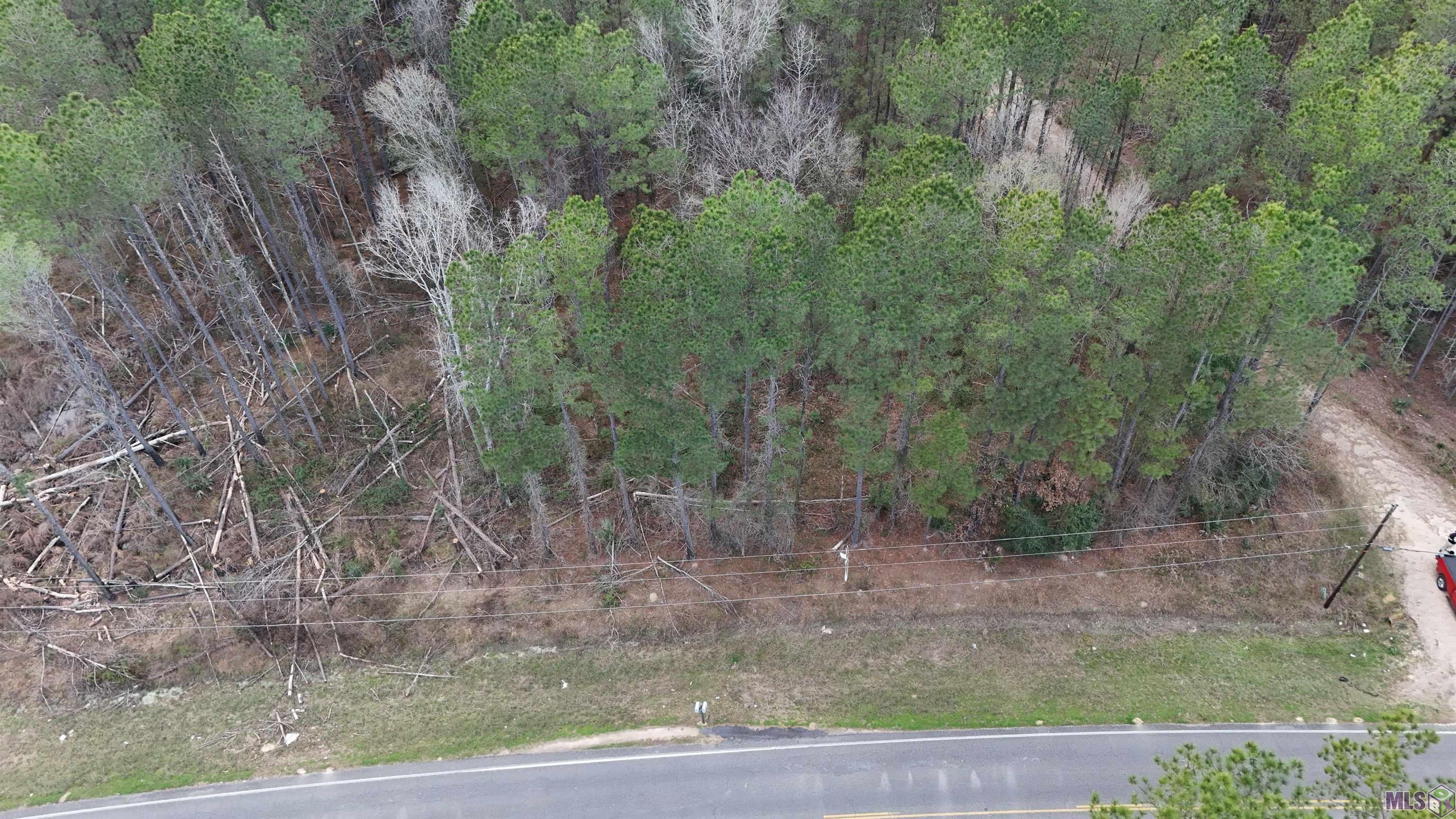 14373 Springfield Road Walker, LA 70785 - Photo 2 of 14